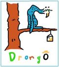 DrongO